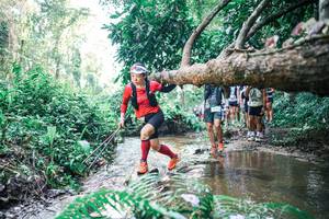 BIB: 
                            <button type="button" onclick="openModal(25465212)" class="btn btn-primary btn-sm float-right btn-popup" data-toggle="modal" data-target=".modal-high-quality">
                        <i class="fas fa-shopping-cart"></i> Add to Cart
                    </button>
                                            <button type="button" onclick="isThisMe(25465212, true)" class="btn btn-success btn-sm float-right btn-popup btn-isme hidden" data-toggle="tooltip" data-placement="bottom" title="นี่คือรูปของคุณใช่ไหม คลิกที่นี่เพื่อเอาเข้าอัลบั้ม">
                        <i class="fas fa-plus"></i> Add to album
                    </button>
                    <button type="button" onclick="isThisMe(25465212, false)" class="btn btn-warning btn-sm float-right btn-popup btn-isnotme hidden">
                        <i class="fas fa-ban"></i> Remove from album
                    </button>